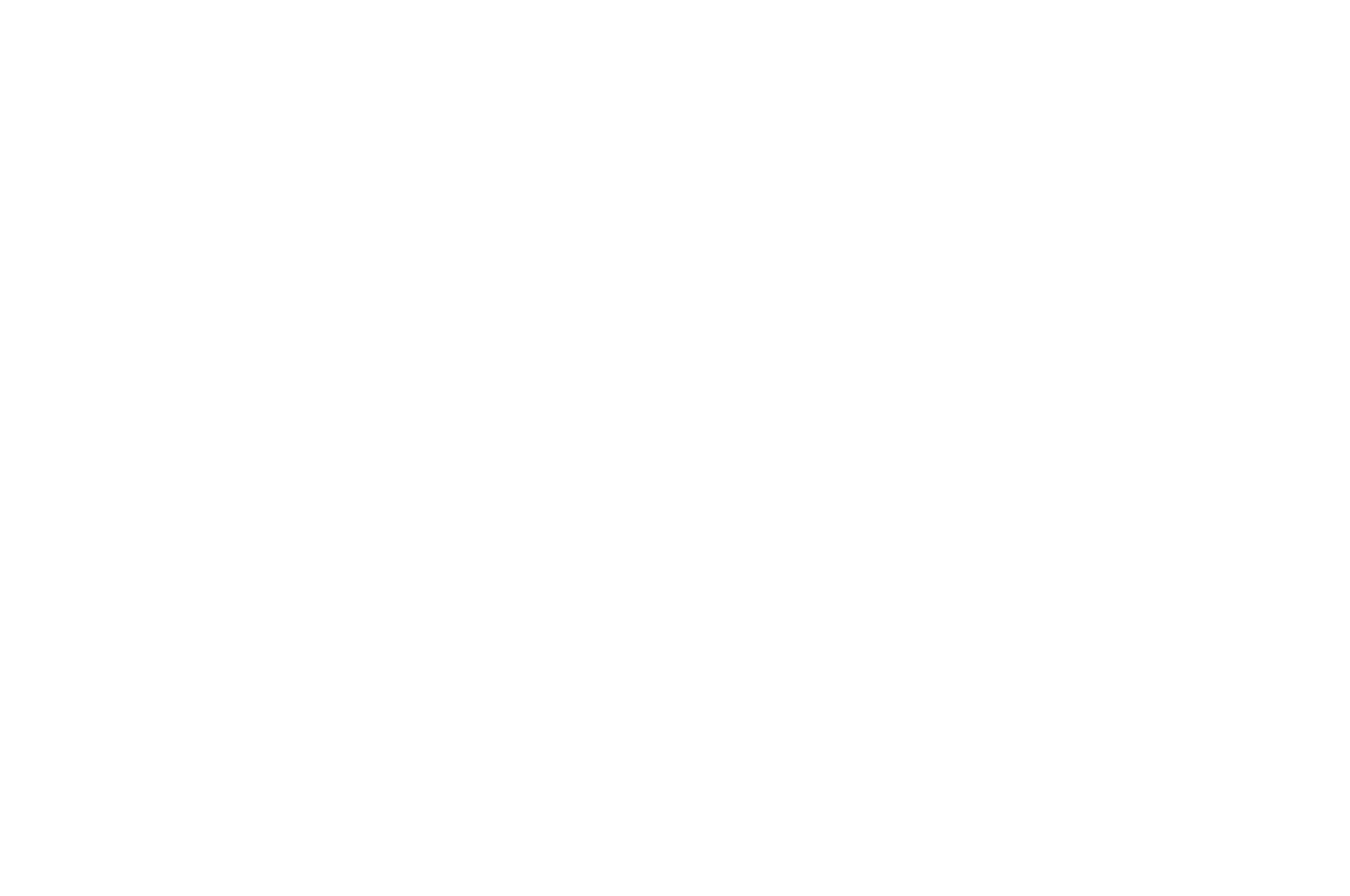 Film Festival 2023
